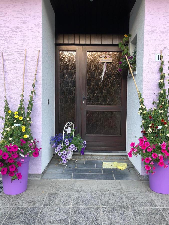Villa Haus Zissi Burg Reuland Exterior foto